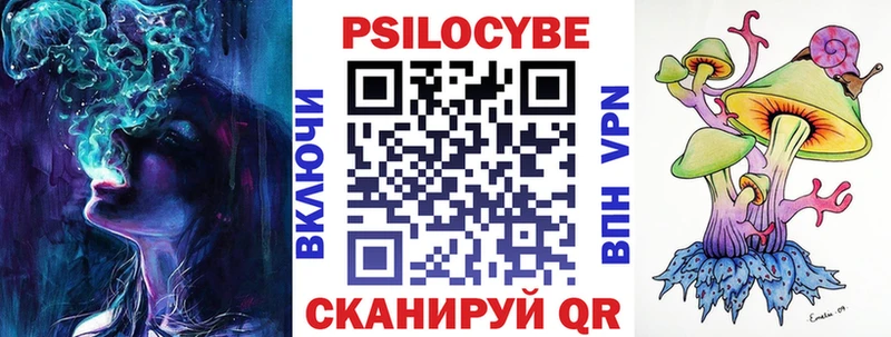 Псилоцибиновые грибы Psilocybe даркнет формула Колпашево мега ссылки